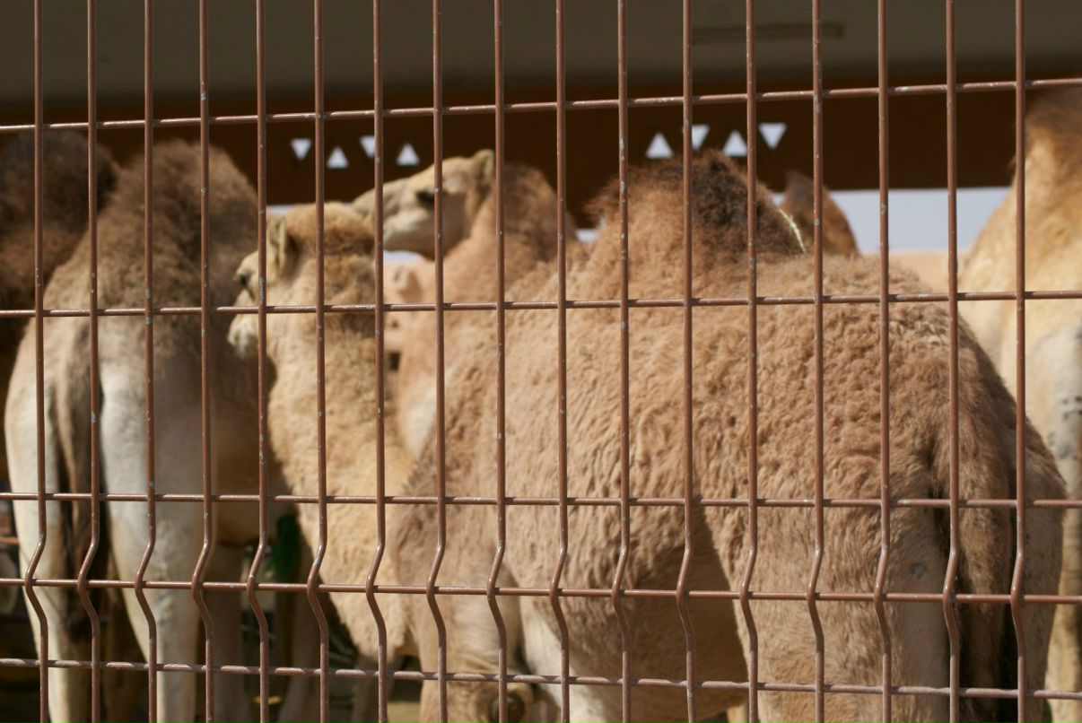 Любовь Аншукова | Архангельск