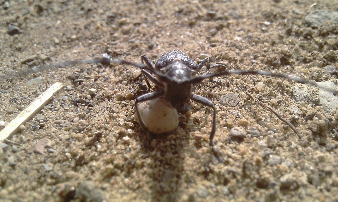 Игорь Козонков | Нарьян-Мар