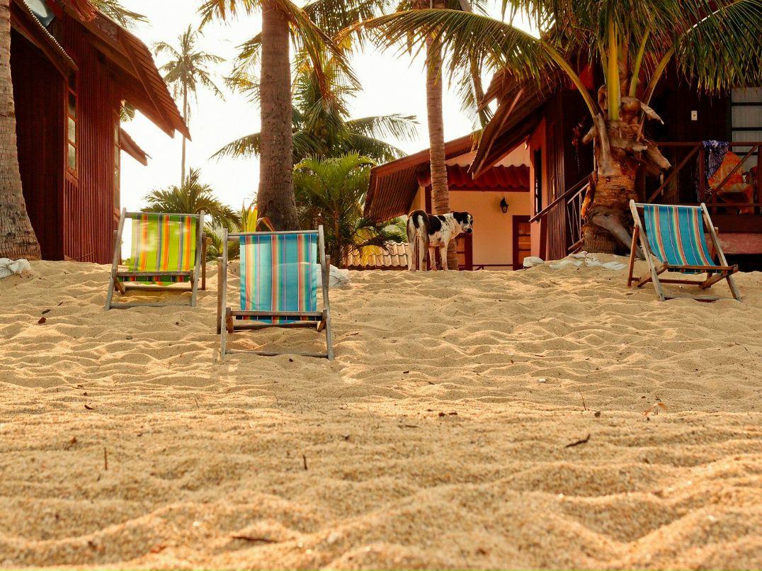 Светлана Ярова | Москва