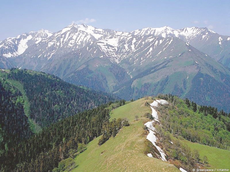 Real Angel ♥ | Москва