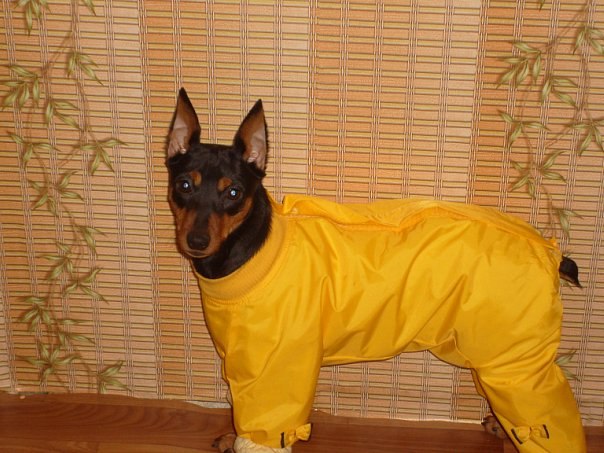 Макс Прокудин | Тула