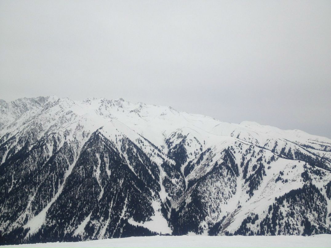 Дмитрий Кащаев | Москва