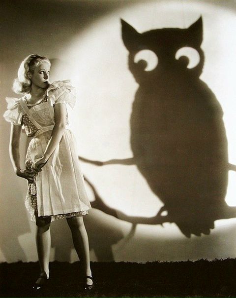 №24, Анастасия Сухинина, Киев №24, Анастасия Сухинина, Киев