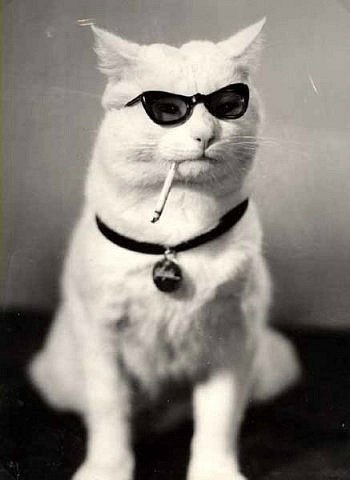 Сергей Михайлов | | Москва