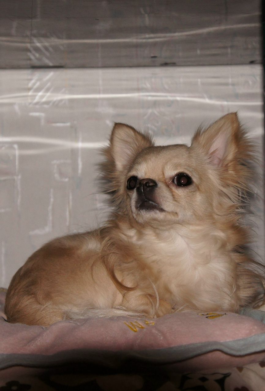 Наталья Полушина | Екатеринбург