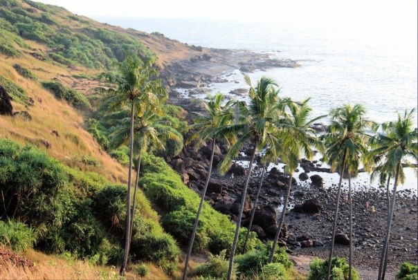 Анастасия Тишина | Москва