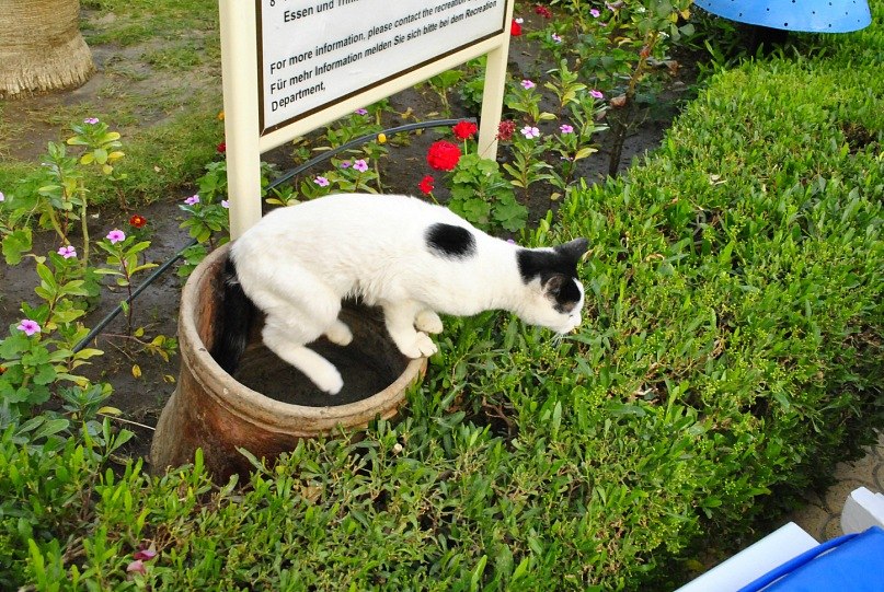 Альбина Анисимова | Волгодонск