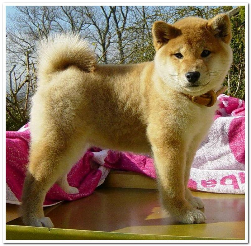 Анюта Просто | Елабуга