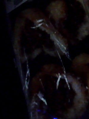 Bella Cullen | Ростов-на-Дону