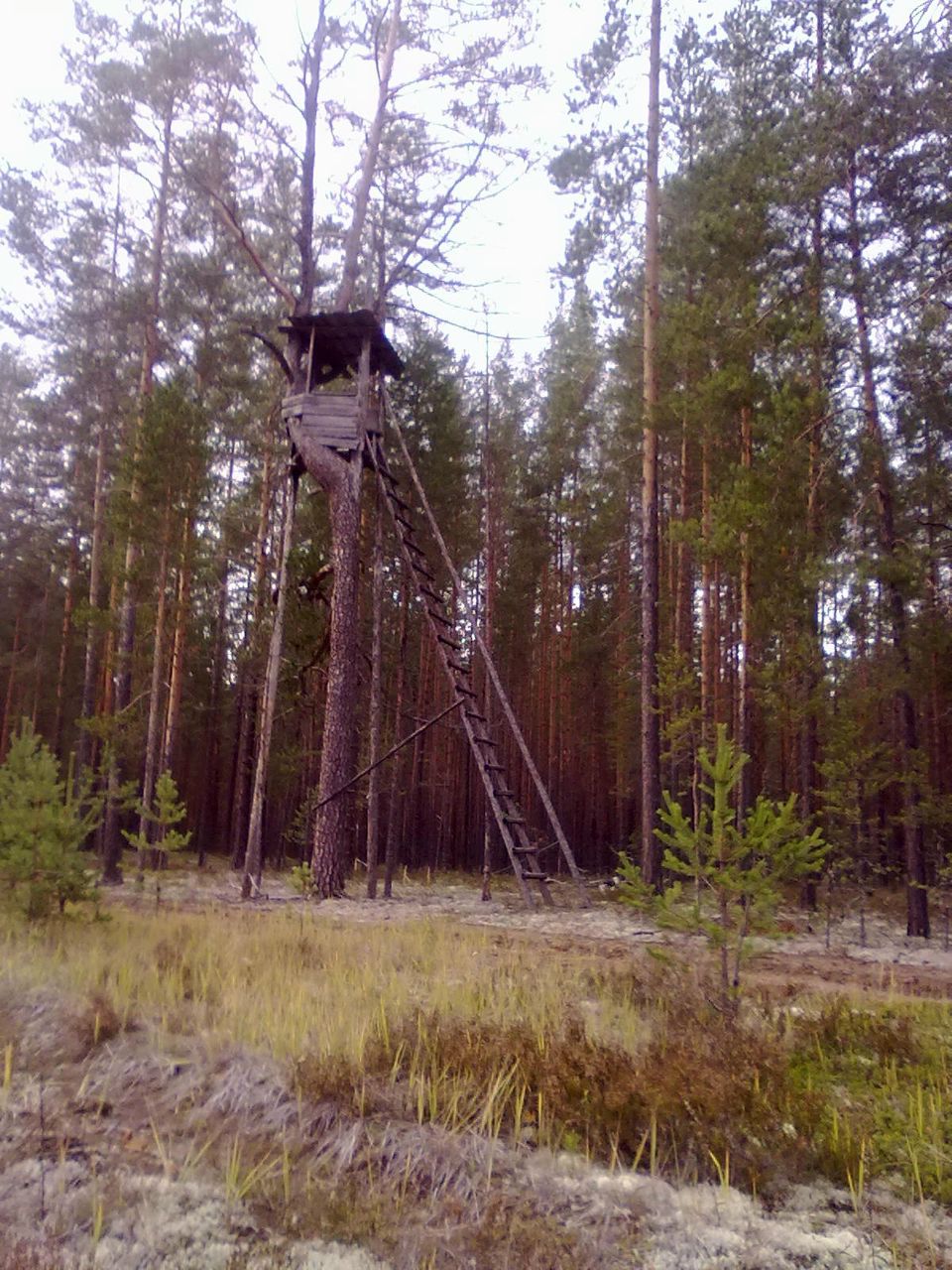 Андрей Заозерский Николаевич | Архангельск