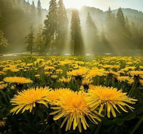 Татьяна Малиновская, Россия, Новокузнецк