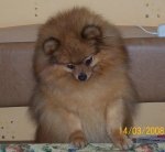 №2, Вероничка Кудряшова №2, Вероничка Кудряшова