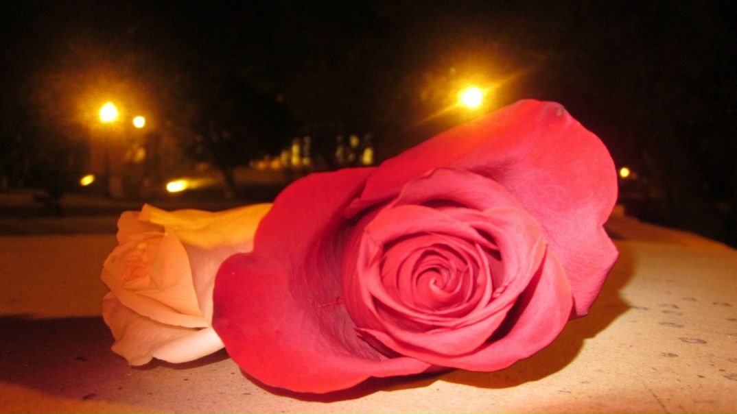 №32, Natali Guseva, Los Angeles №32, Natali Guseva, Los Angeles