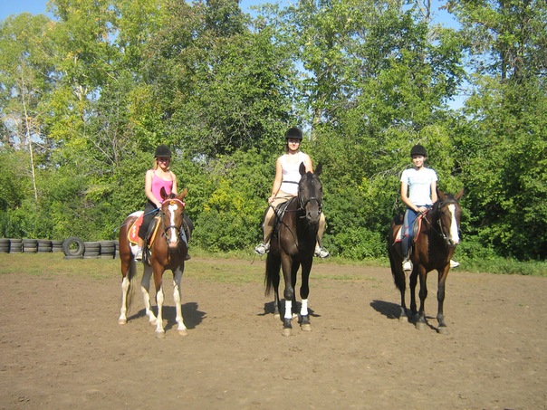 №11, Конный Клуб Княжий Двор №11, Конный Клуб Княжий Двор