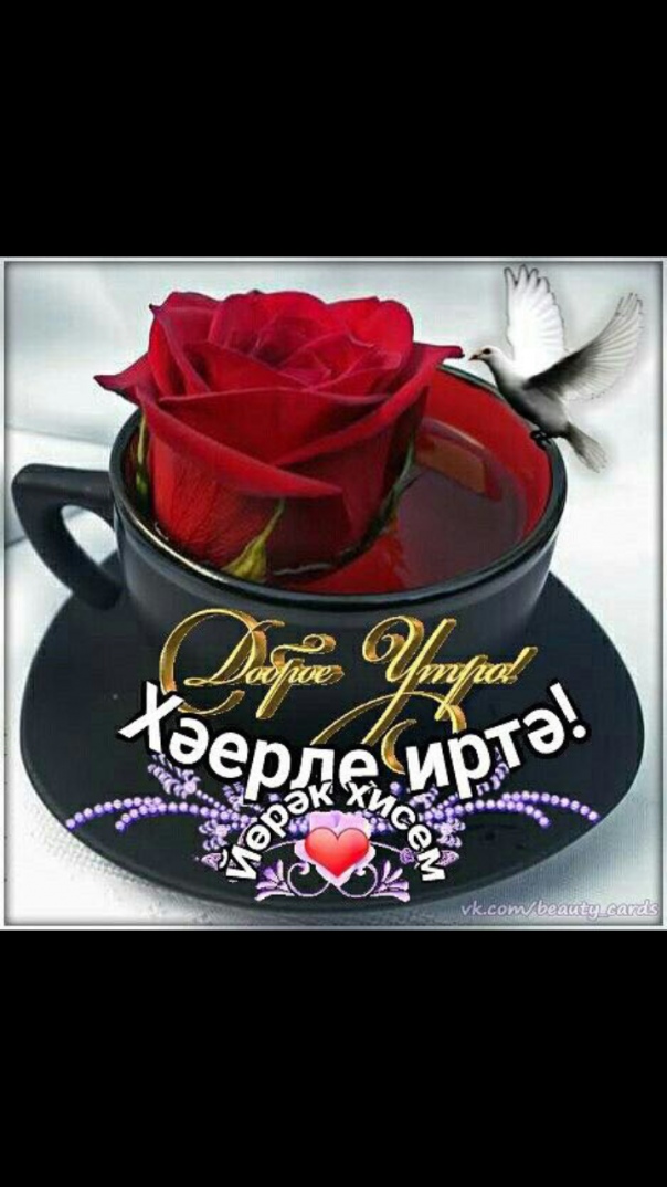 Доброе утречко оленька