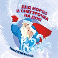 Дед Мороз и Снегурочка на дом Пинск