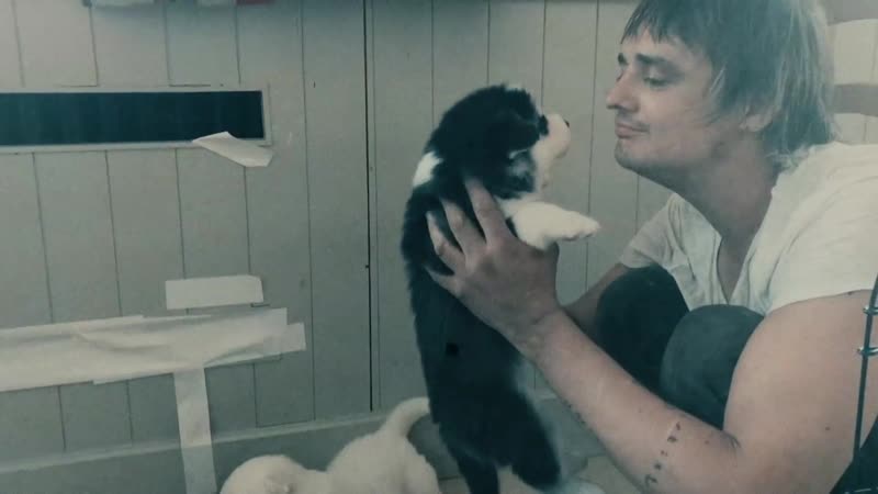 Peter Doherty The Puta Madres Paradise Is Under Your