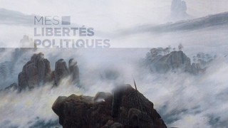 Mes Libertés Politiques du 14/01/2020 : A quand un Vladimir ou un Boris pour la France ?