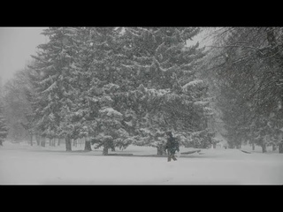 Шостка: Важливо - 10 лютого