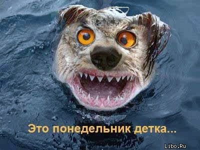 №4, Дмитрий Листунов, 27 лет №4, Дмитрий Листунов, 27 лет