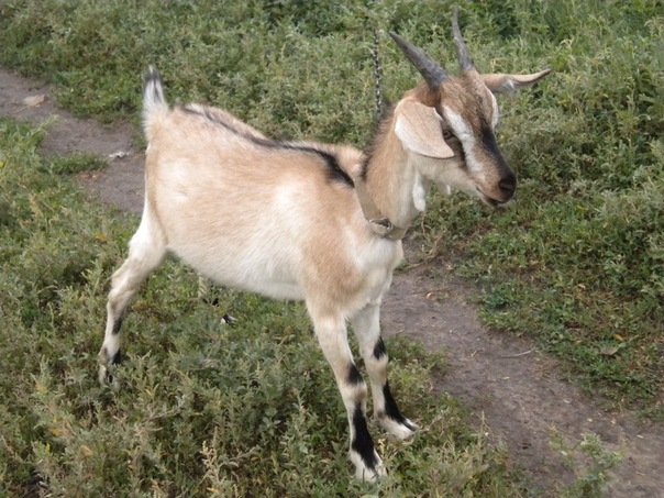 №8, Оксана Морозова №8, Оксана Морозова