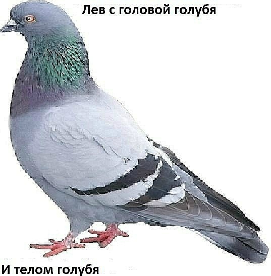 №51, Влад Аминев, 32 года, Томск №51, Влад Аминев, 32 года, Томск