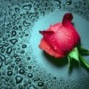 Аватар: Снежана Колтуклу