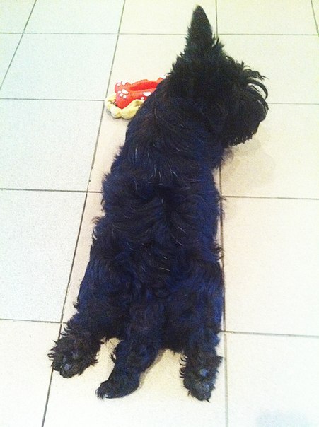 Елена Алексеева | Тюмень