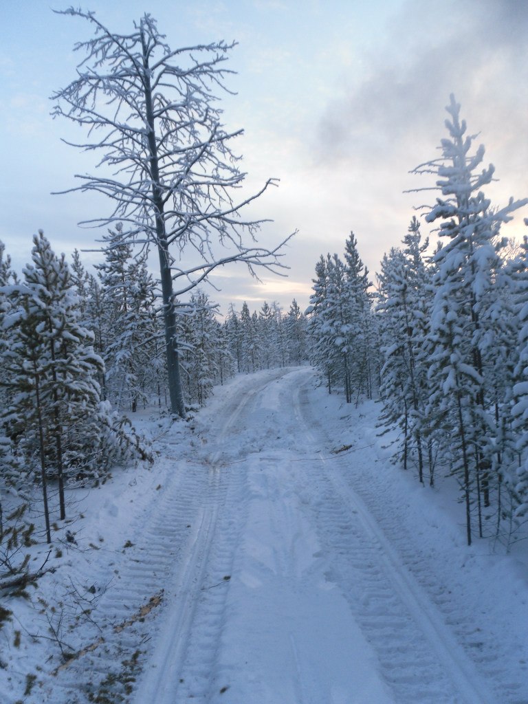 Андрей Петин | Оренбург