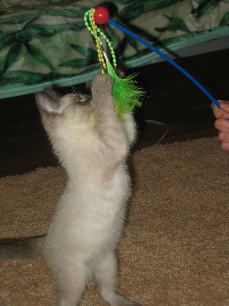 Наташа Загребина | Ижевск