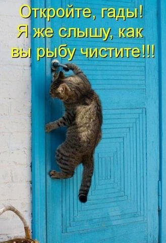 №104, Роман Столяров, 37 лет, Наро-Фоминск №104, Роман Столяров, 37 лет, Наро-Фоминск