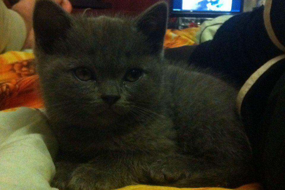 Мария Никитина | Москва