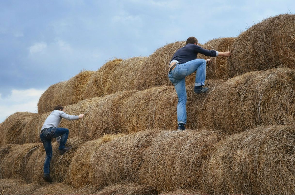 Юль Вінтонів | 
