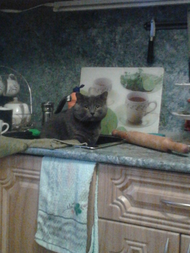 Любовь Тараканова | Челябинск