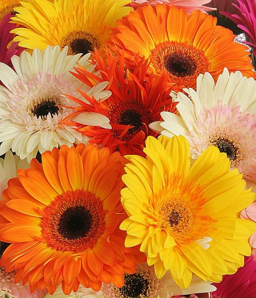 №35, Лилия Захарова, Москва №35, Лилия Захарова, Москва