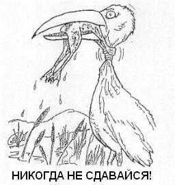 Анна Чалышева | Добрянка