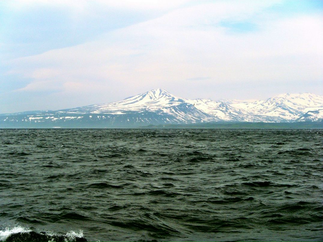 Валерий Фокин | Балашиха