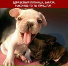 №17 Анастасия Бордюкова : профиль, фото, статус - ВКонтакте №17 Анастасия Бордюкова : профиль, фото, статус - ВКонтакте