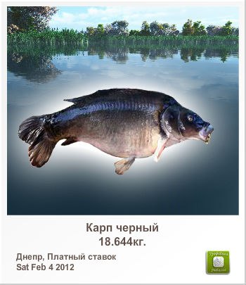 Игорь Вдовин | 