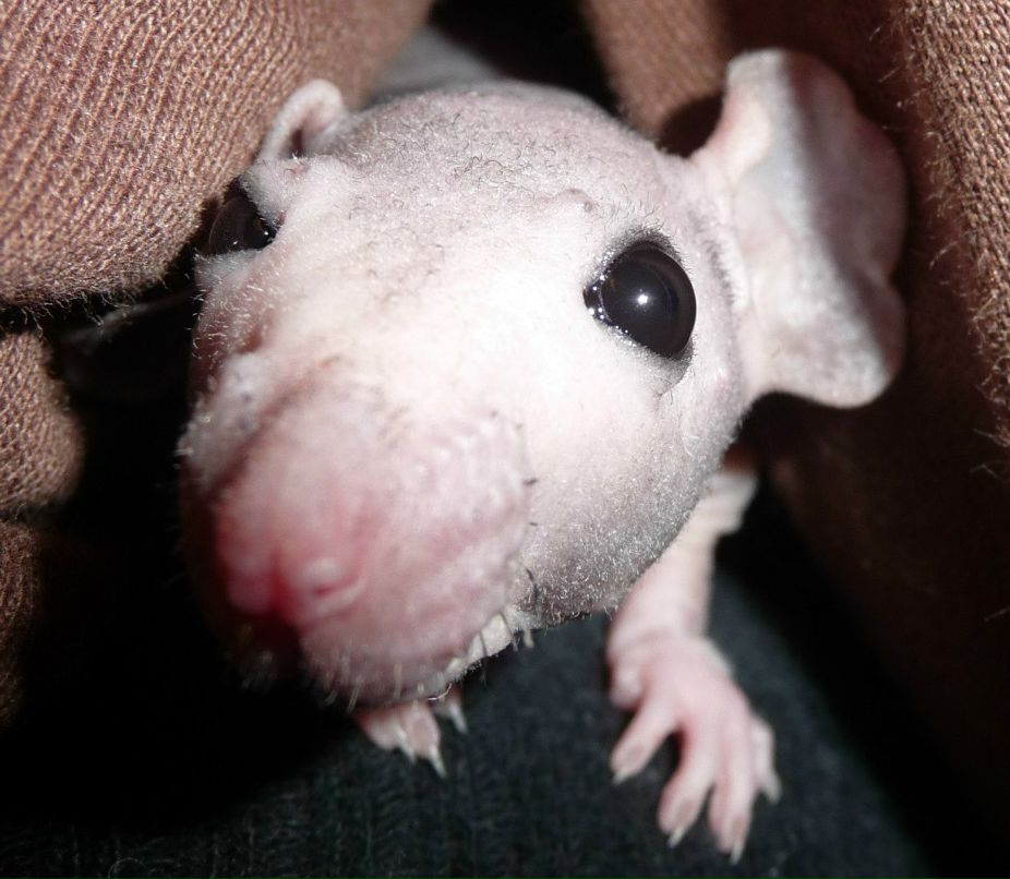 Павел Сыч | Москва