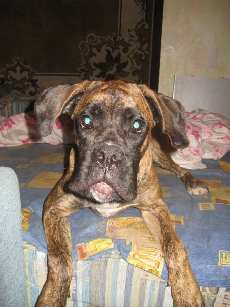 №191, Ангелина Несветаева, 38 лет, Киев №191, Ангелина Несветаева, 38 лет, Киев