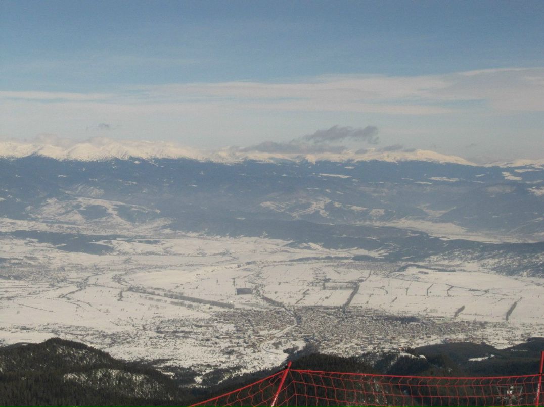 Mary Vtulkina *violet* | Люберцы