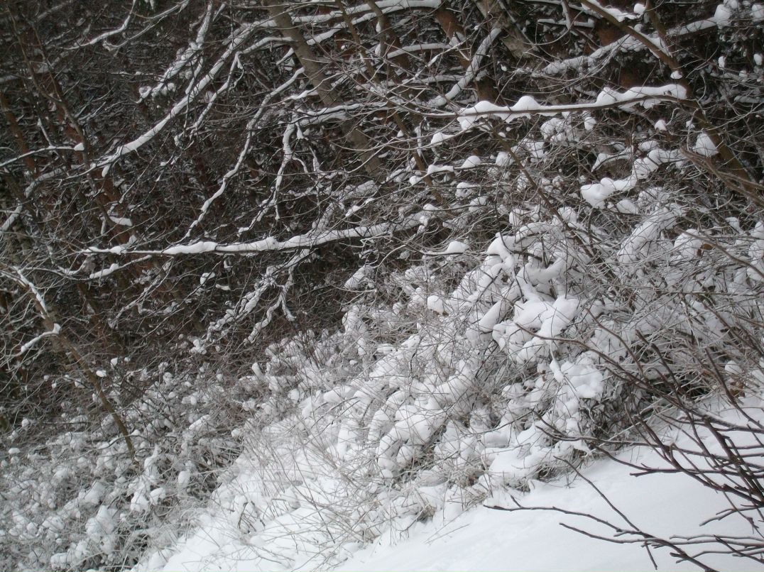 Анастасия Ноздрина | Москва