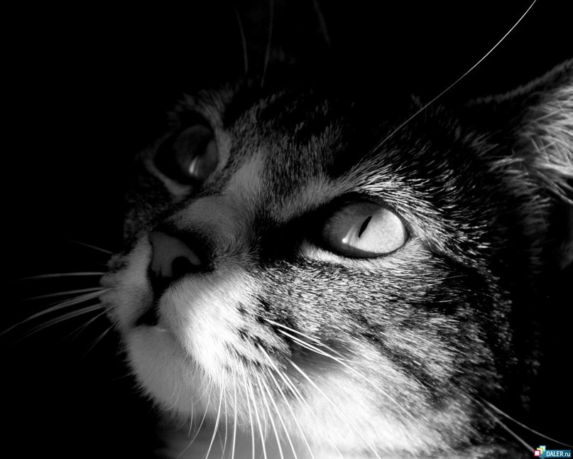 Ekaterina Strilchuk | Сумы