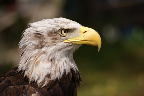 №44, Кристина Буш, 32 года, Лобня №44, Кристина Буш, 32 года, Лобня