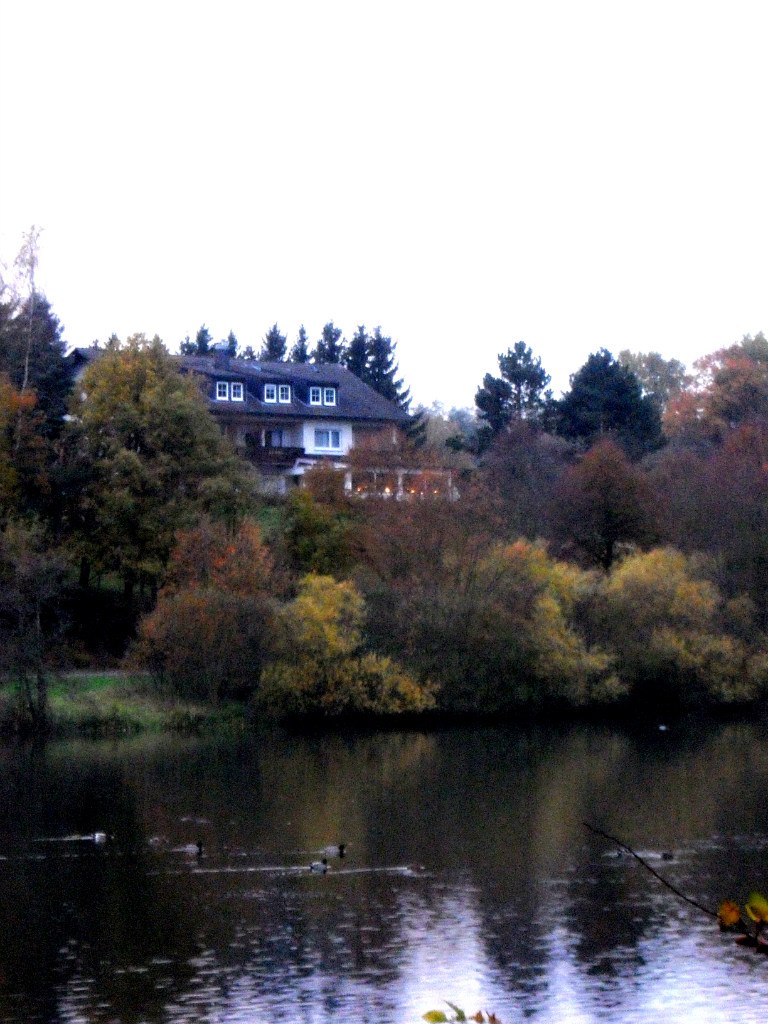 Ирина Плишкина ∫Murmeltier∫ | 