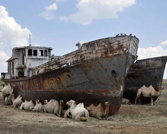 Лев Щуров | Amsterdam