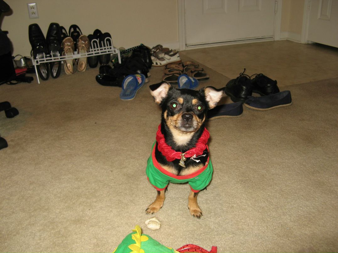 Светлана Антонова | Сыктывкар