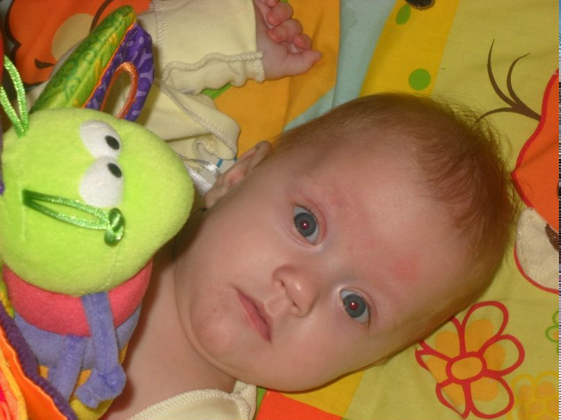 Наталья Логвинова-Гензе | Калининград