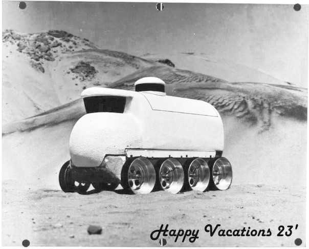 №36, Крупнаяптицаизподсемействафа Благодаряпышномураспускаемому, 35 лет, Москва №36, Крупнаяптицаизподсемействафа Благодаряпышномураспускаемому, 35 лет, Москва